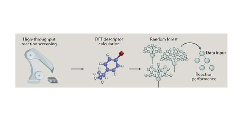 Graphical abstract: high-throughput screening, DFT descriptors and random forest predicting reaction performance