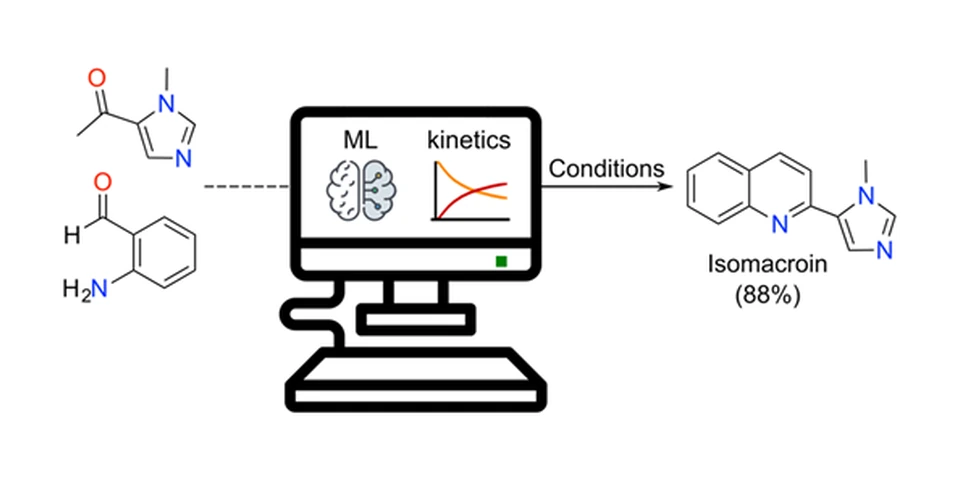 Graphical abstract: machine learning combined with kinetic modeling proposes reaction conditions, 88% yield of isomacroin