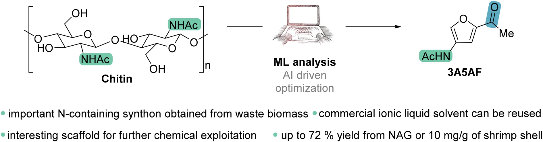 Graphical abstract: chitin converted to 3-acetamido-5-acetylfuran (3A5AF) through ML-driven optimization